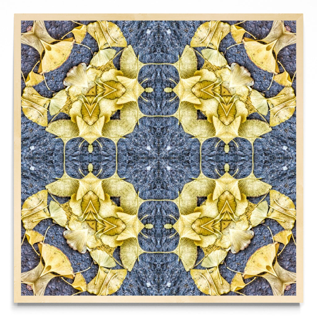 OTOÑAL-GINKO 3 - Cuadrado MC