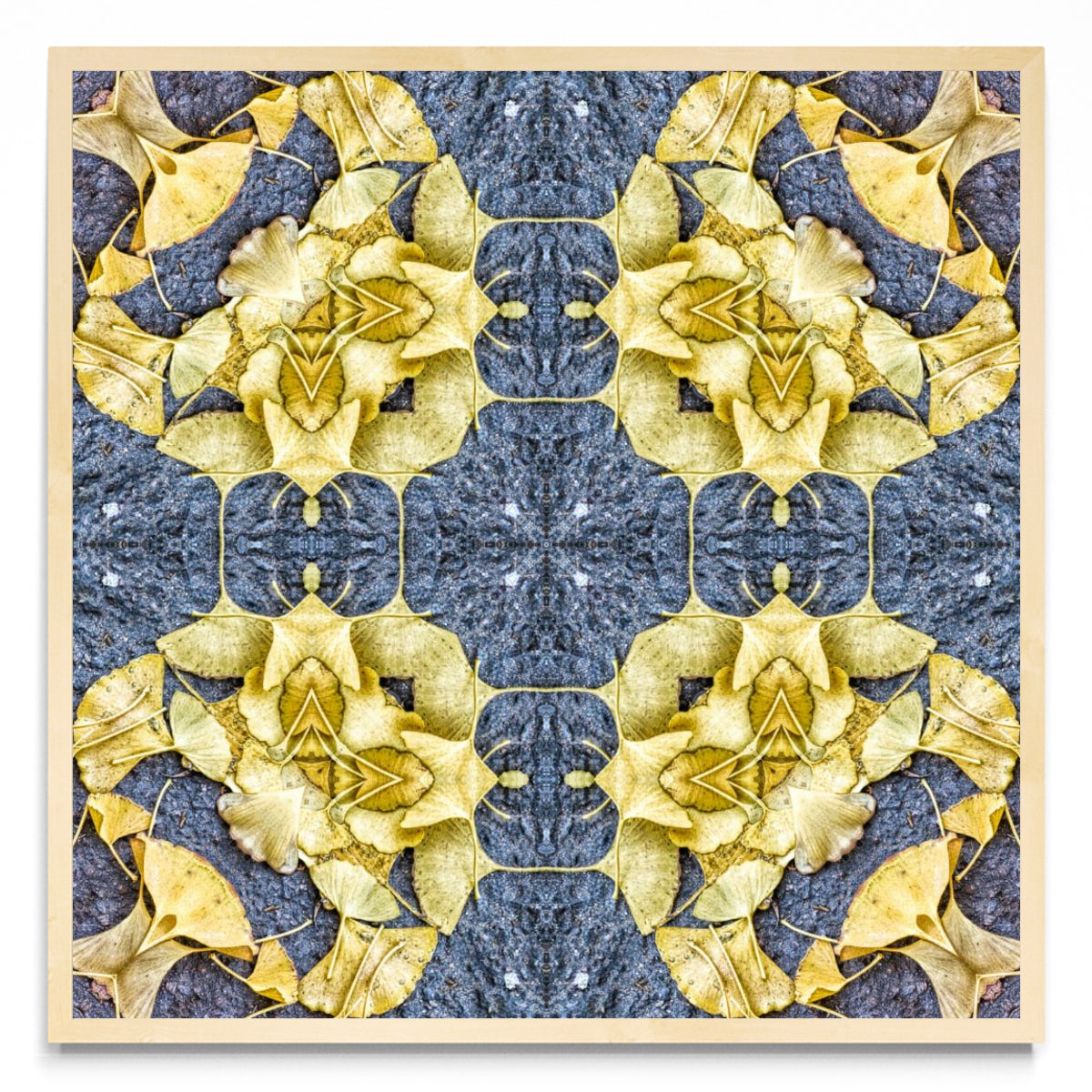OTOÑAL-GINKO 3 - Cuadrado MC