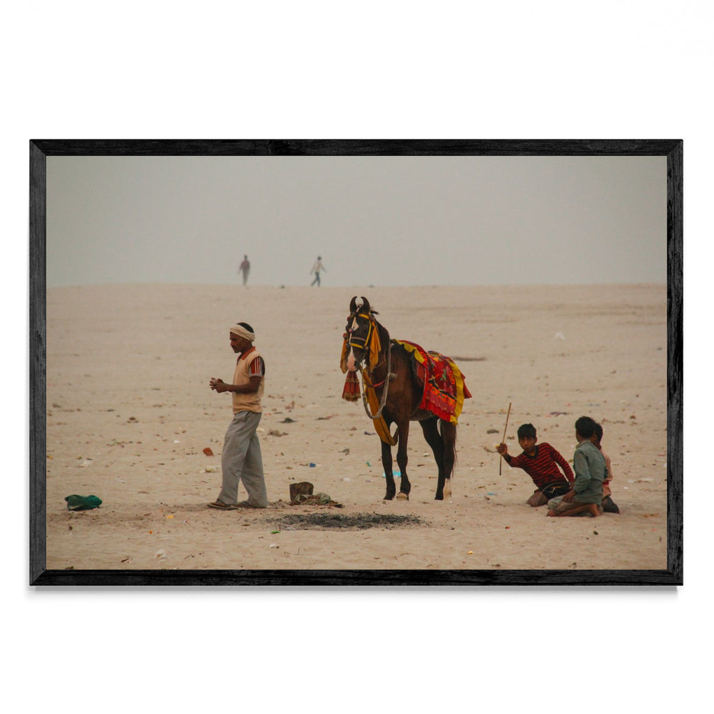 Caballo en Varanasi - FotoH N