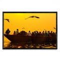 Gaviotas del Ganges - FotoH N