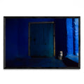 Gato en Blue - FotoH N