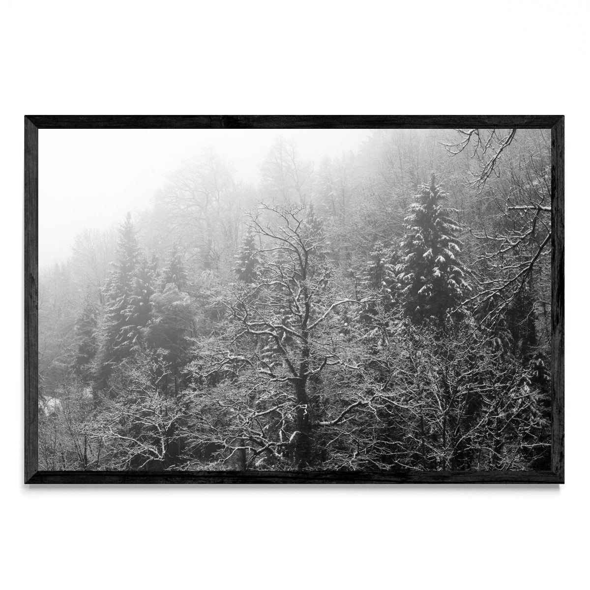 Innsbruck - FotoH N
