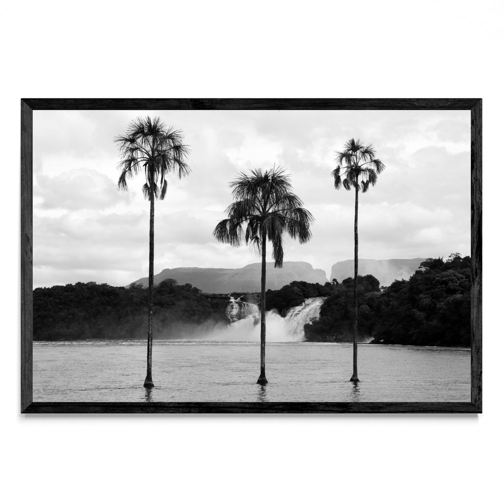 CANAIMA - FotoH N