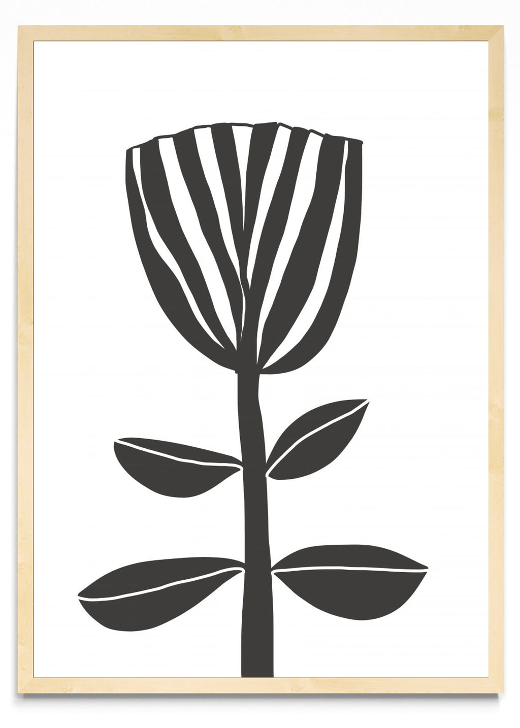 TULIPE - Retrato MC
