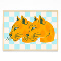 Pumas - Paisaje MC