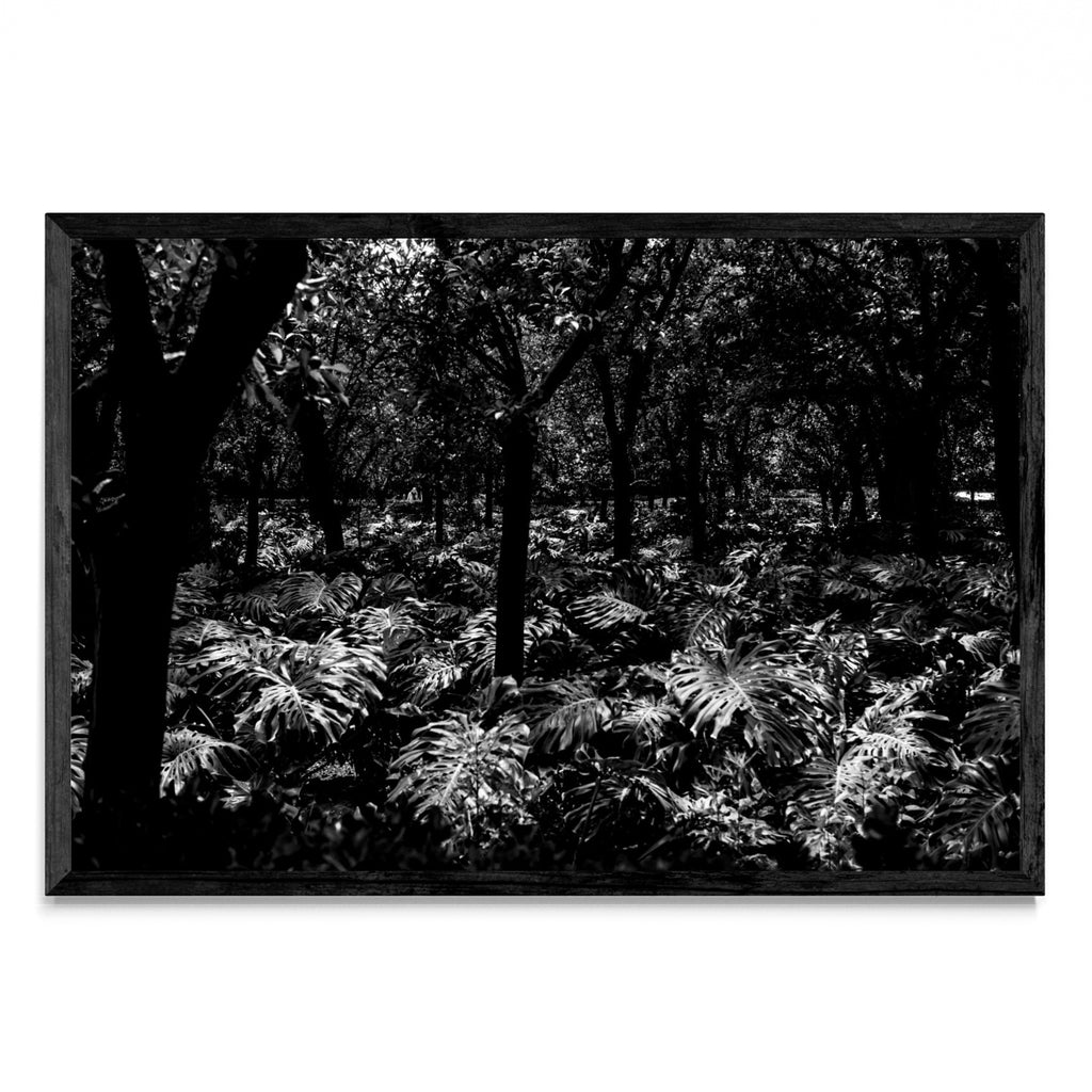 Jardines Reales - FotoH N