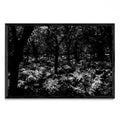 Jardines Reales - FotoH N