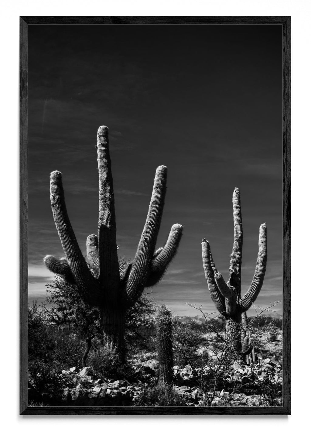 Manos Jujeñas - FotoV N