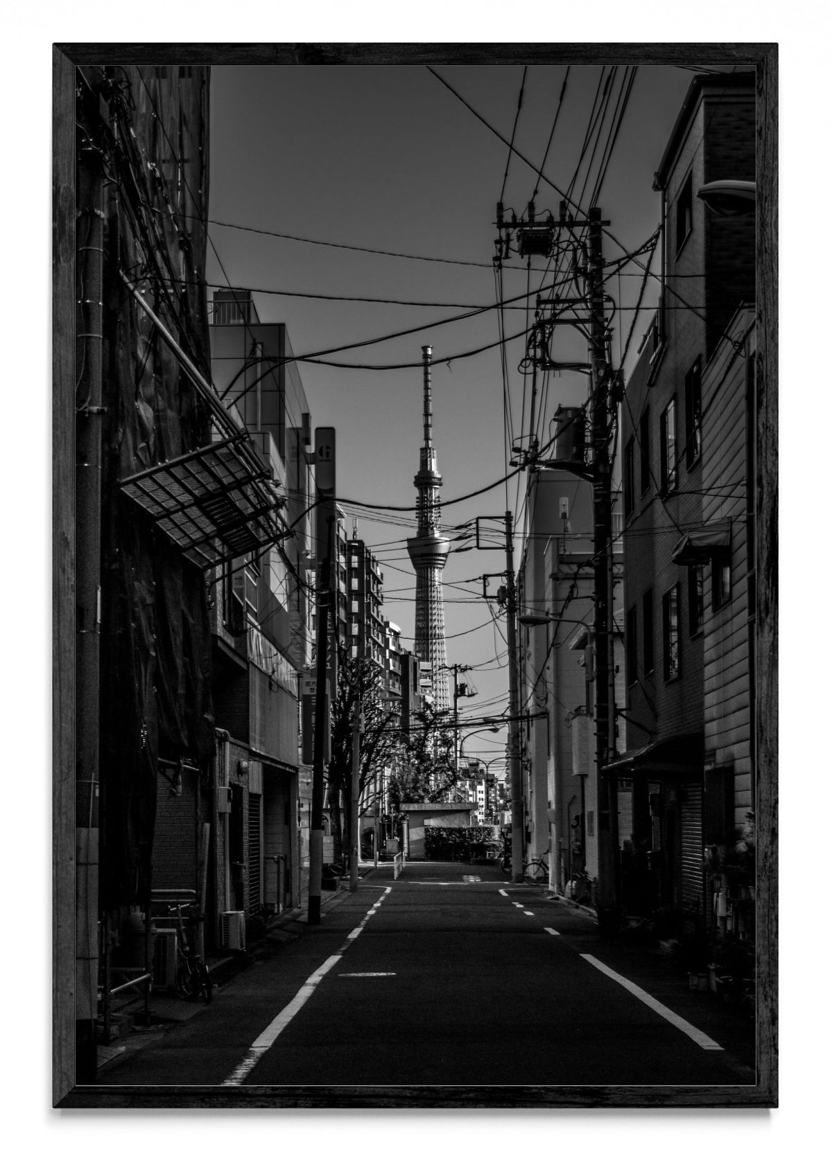 Sky Tree - FotoV N