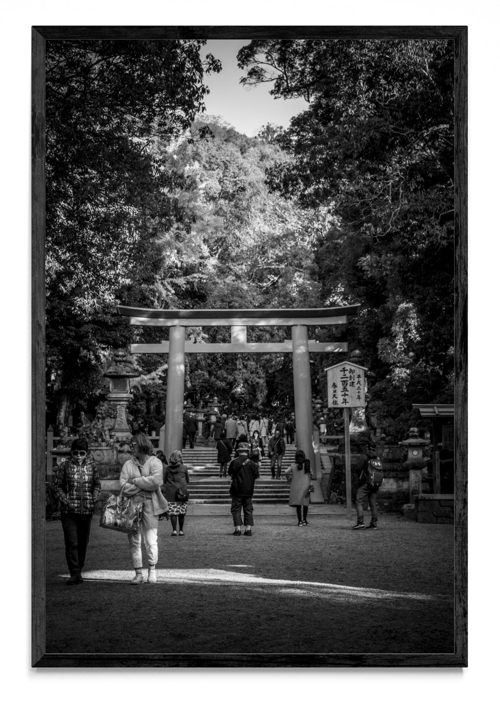 Nara torii - FotoV N