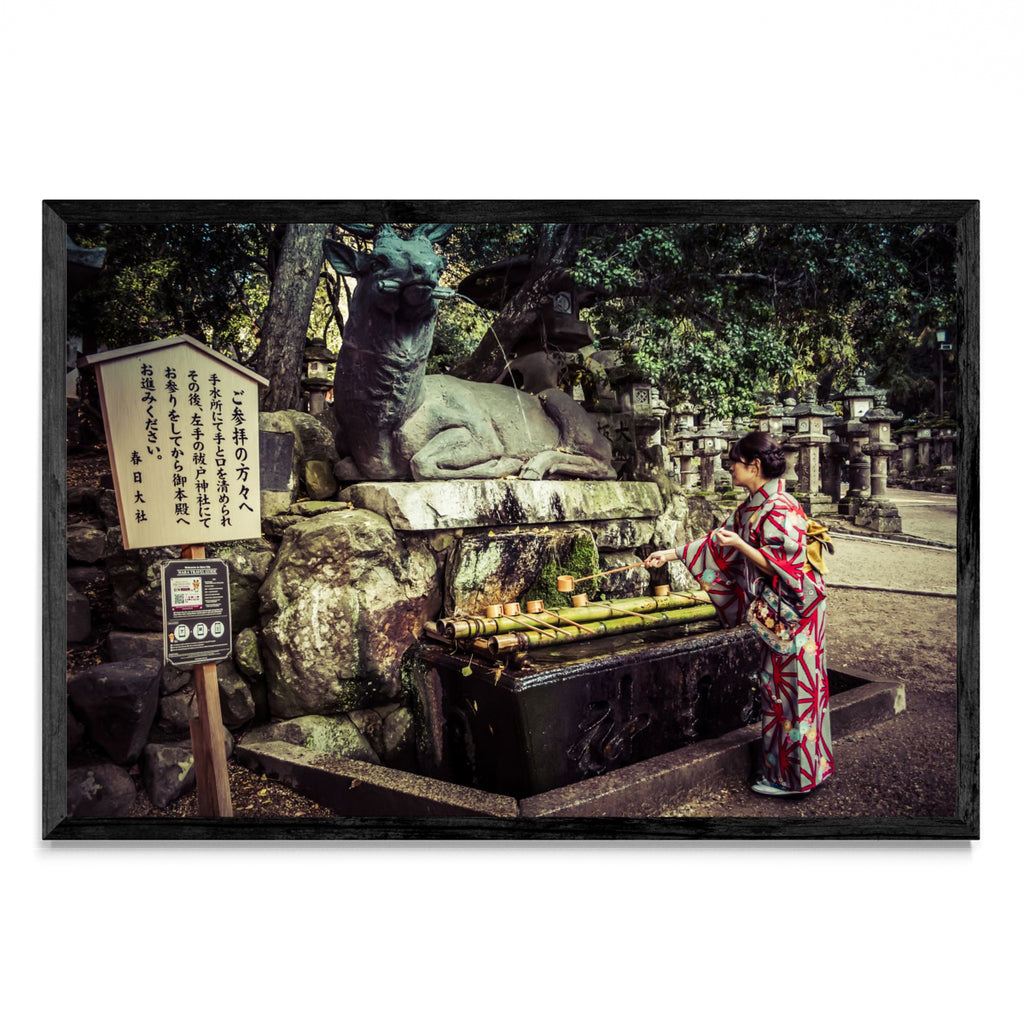 Tradición japonesa - FotoH N