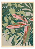 Calathea - Retrato MC