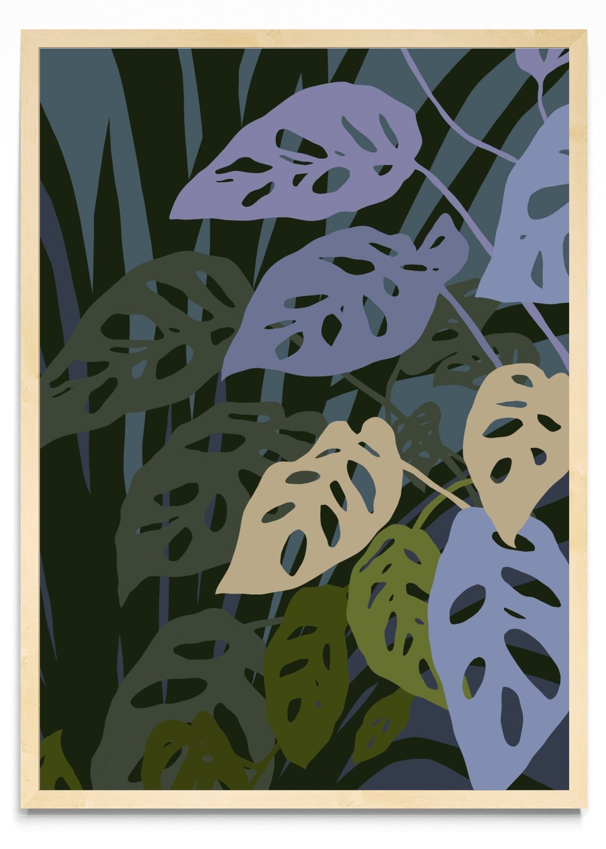 La monstera Adansonii - Retrato MC
