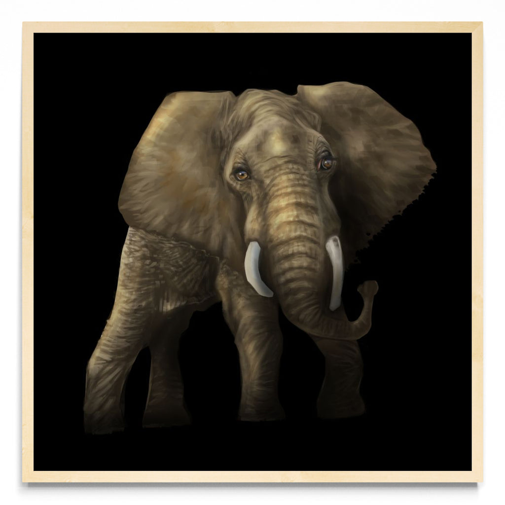 Tantor - Cuadrado MC