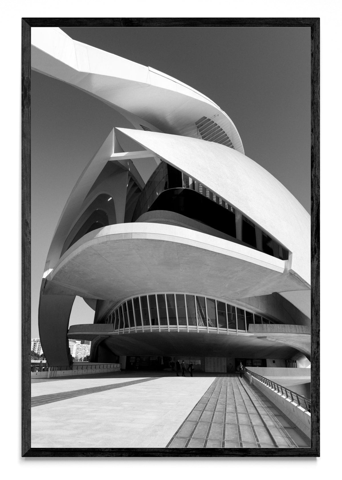 Ciudad de las Artes y las Ciencias - FotoV N