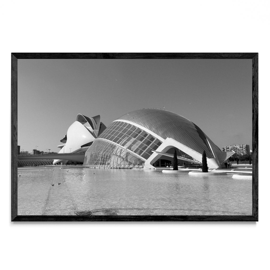 Ciudad de las Artes y las Ciencias - FotoH N