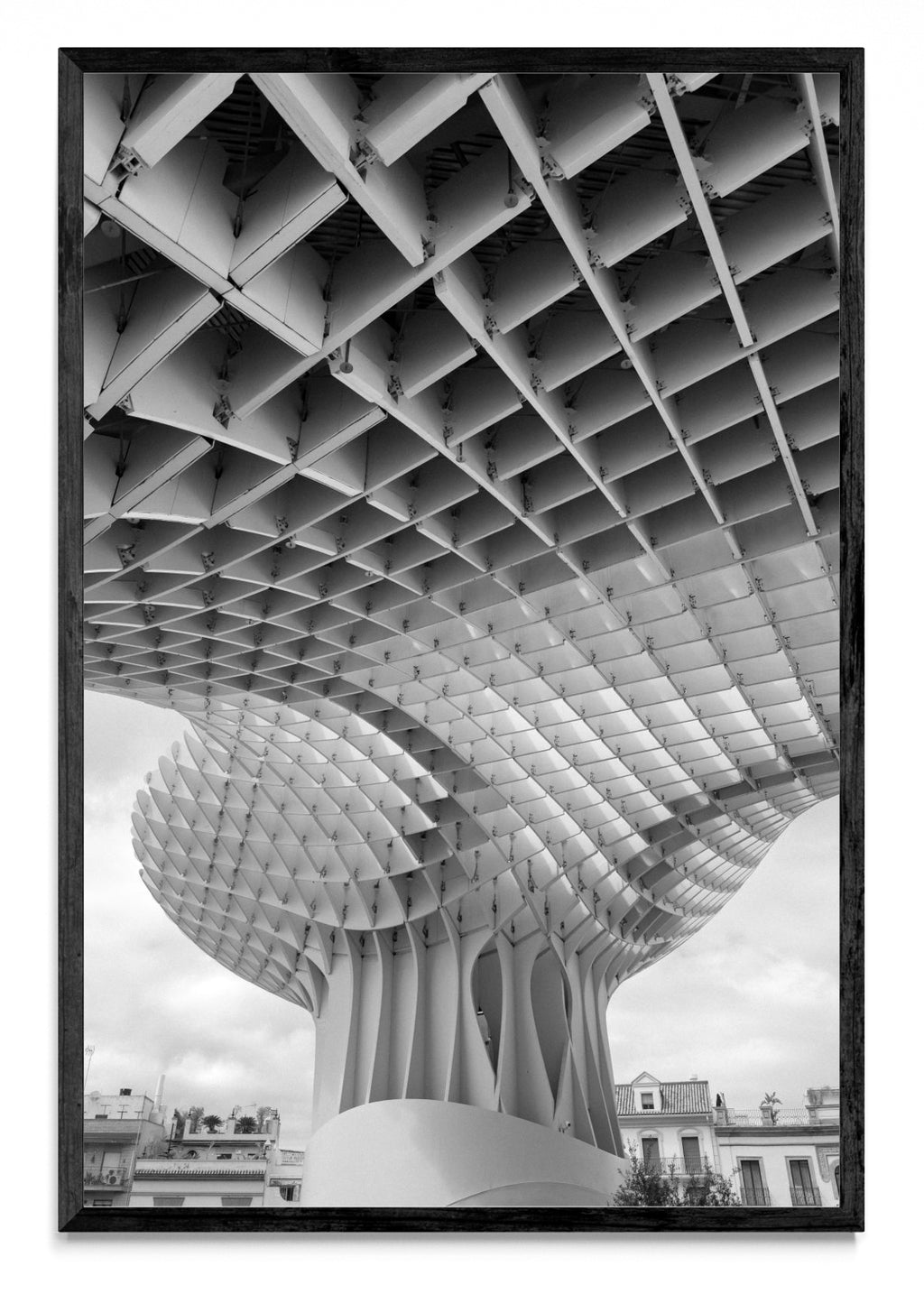 Setas de Sevilla - FotoV N