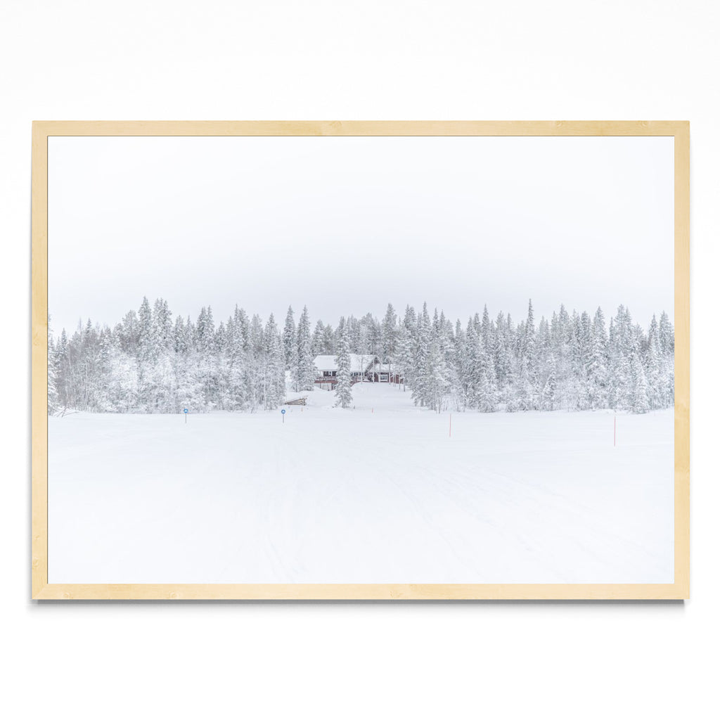 Lonely Winter - Paisaje MC