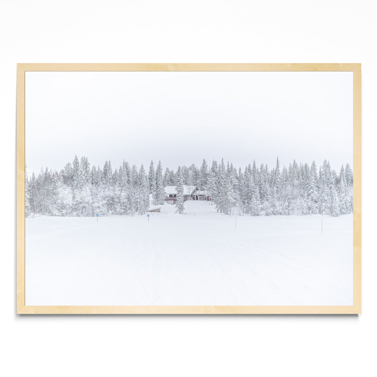Lonely Winter - Paisaje MC