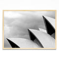 Opera House - Paisaje MC