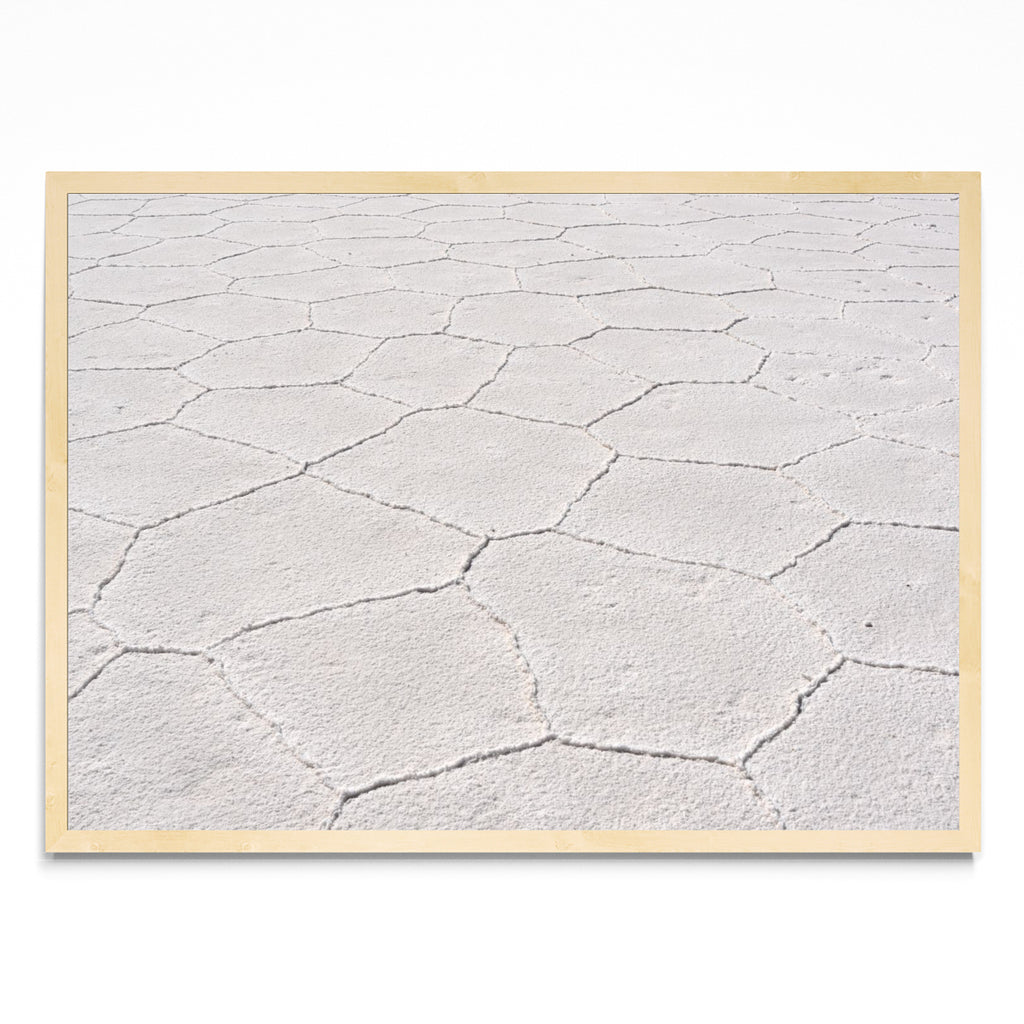 The Great Salt Flats - Paisaje MC