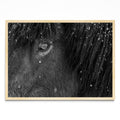Black and White - Paisaje MC
