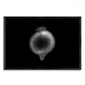 Black and white onion - FotoH N