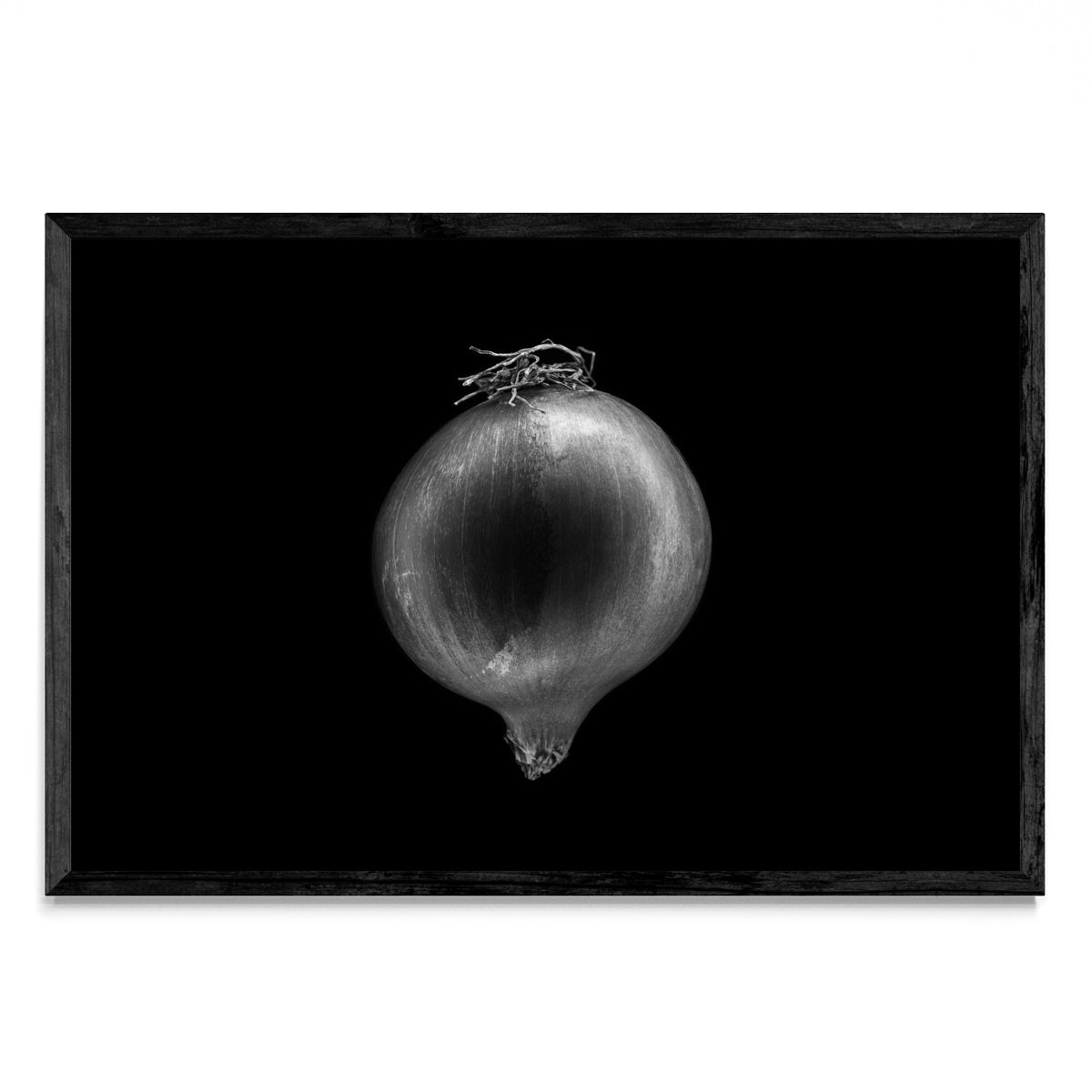 Black and white onion - FotoH N