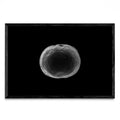 Black and white tangerine - FotoH N