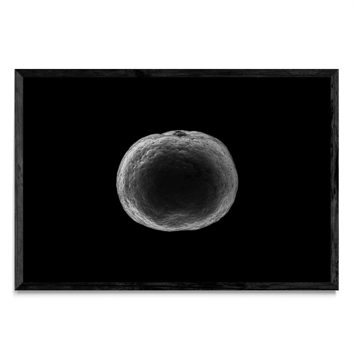 Black and white tangerine - FotoH N
