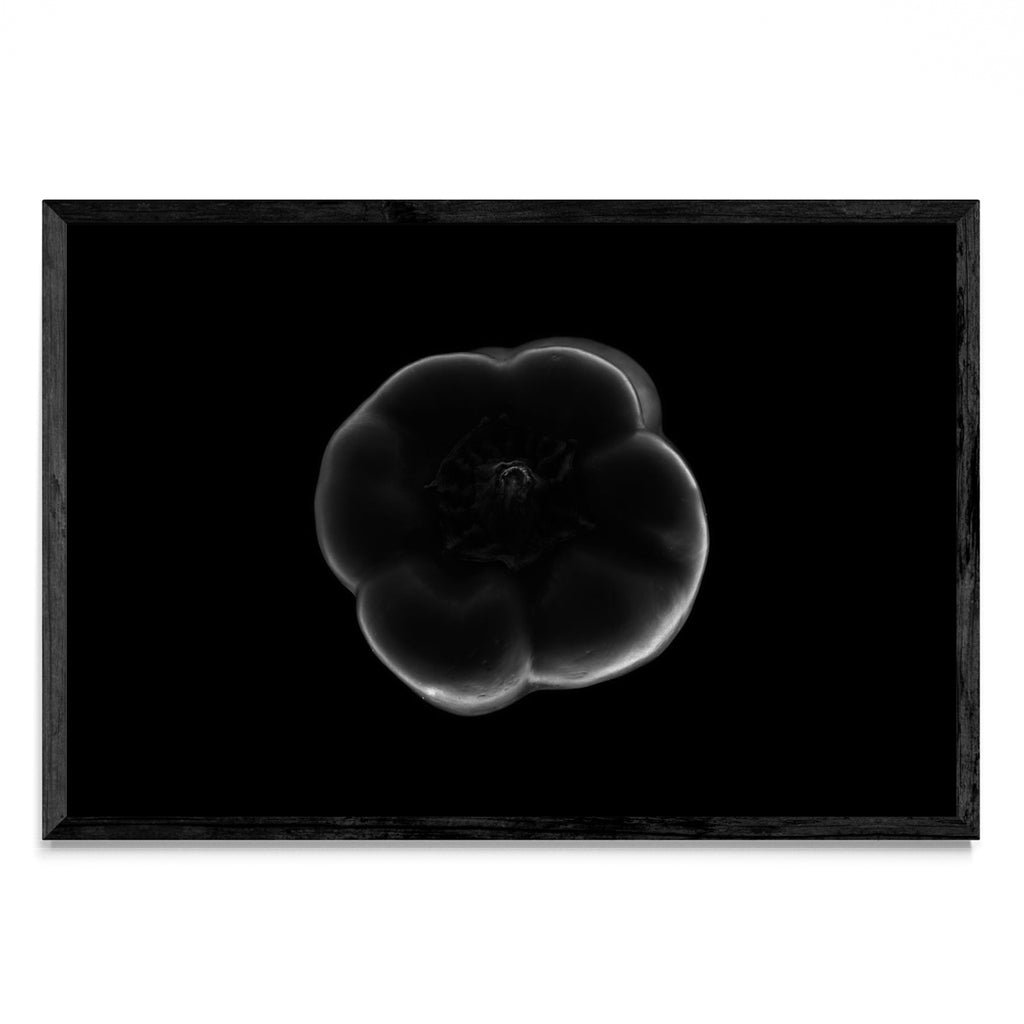 Black and white bell pepper - FotoH N