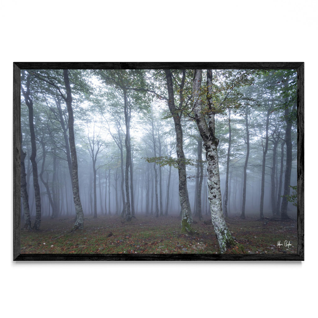 POR ALGUM BOSQUE NA FRANÇA - FotoH N