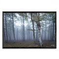 POR ALGUM BOSQUE NA FRANÇA - FotoH N