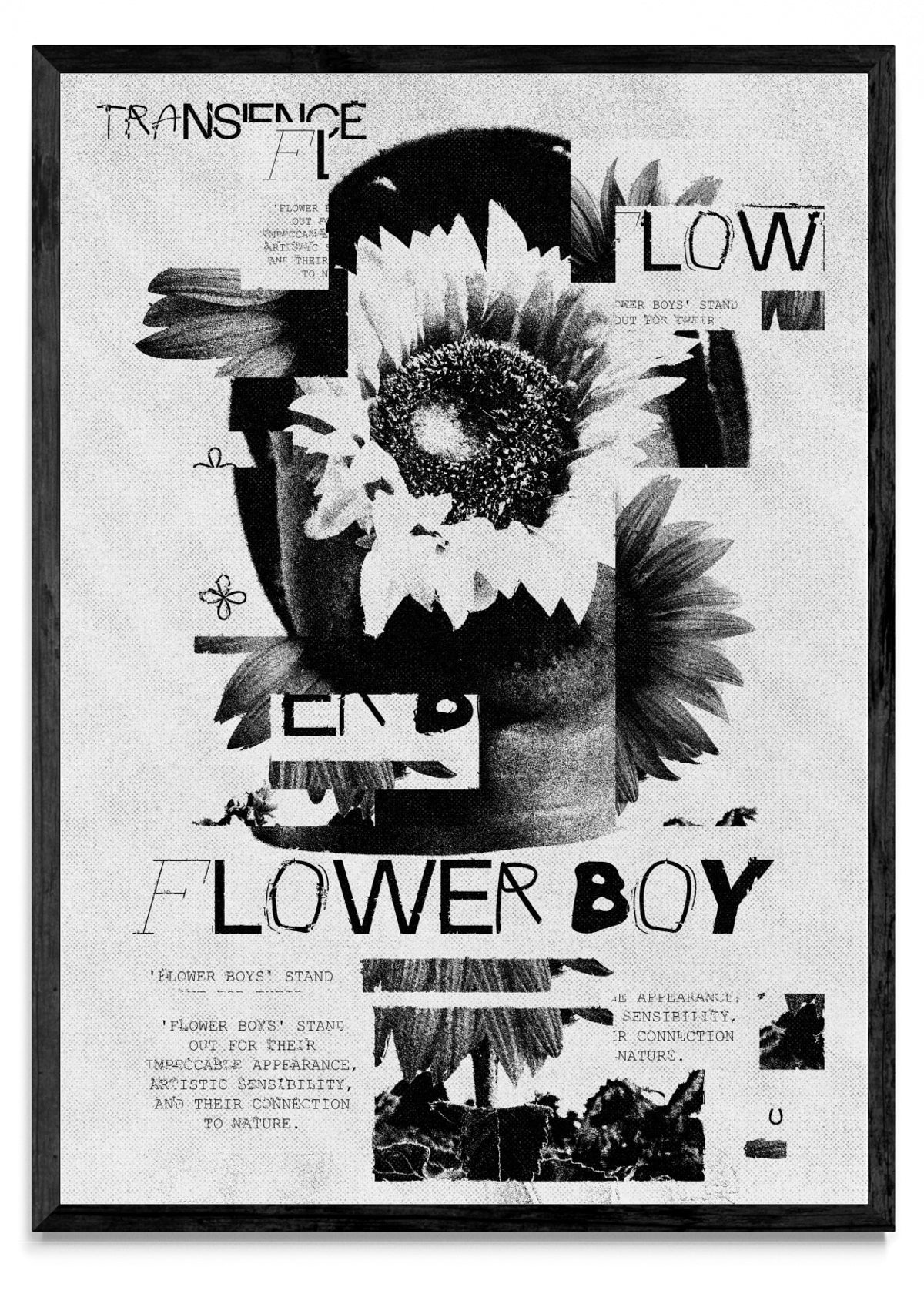 Flower Boy - Retrato N