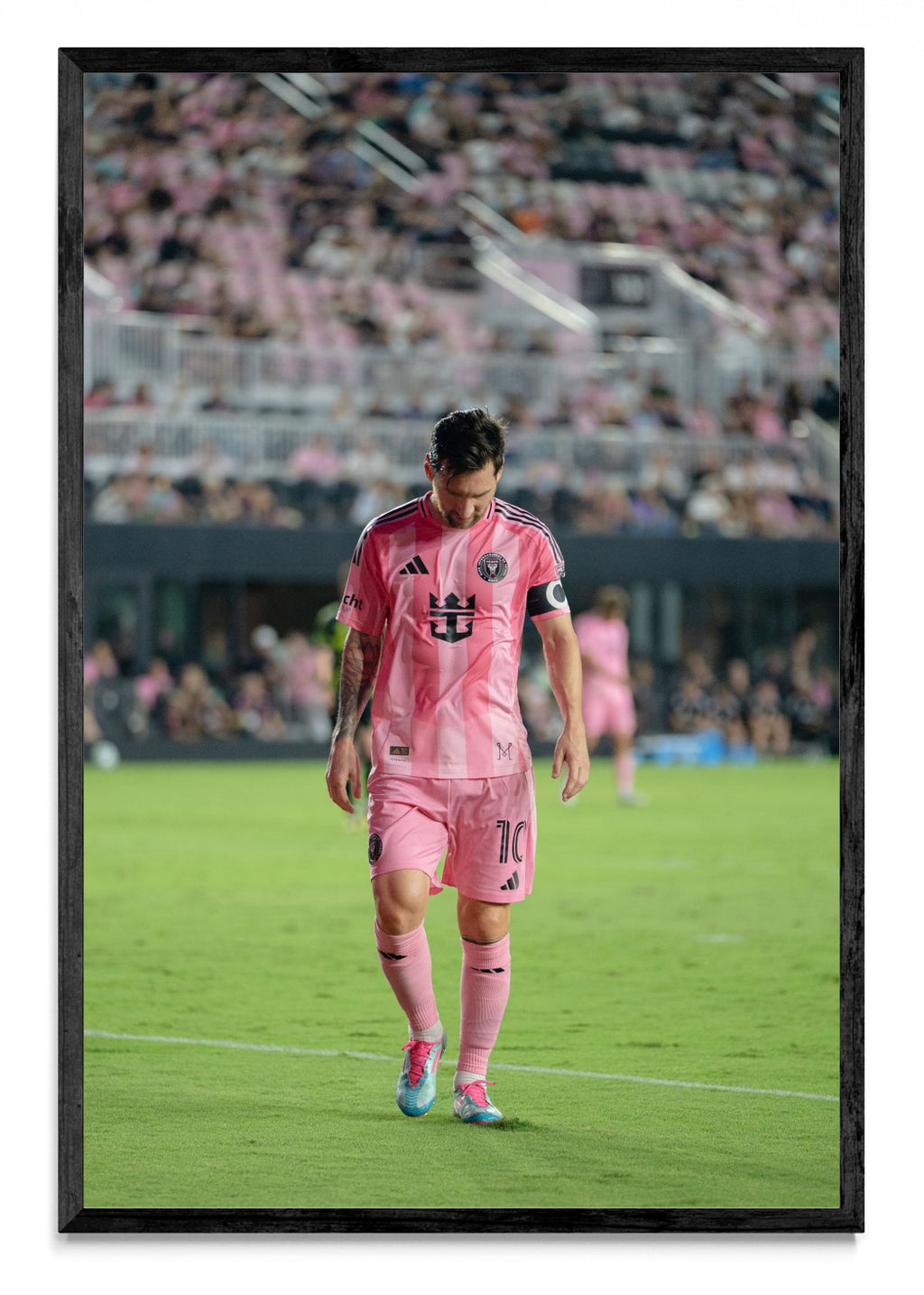 La calma del campeón - FotoV N