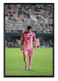 La calma del campeón - FotoV N