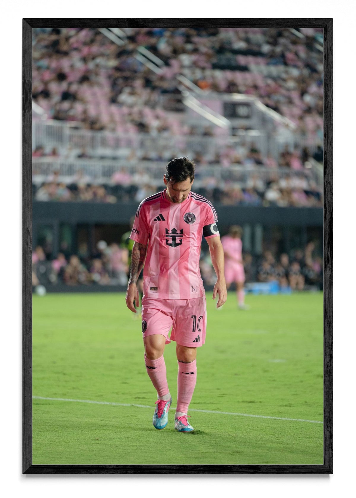 La calma del campeón - FotoV N