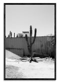Cerritos, Baja California Sur, México - FotoV N