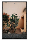 Cerritos, Baja California Sur, México - FotoV N