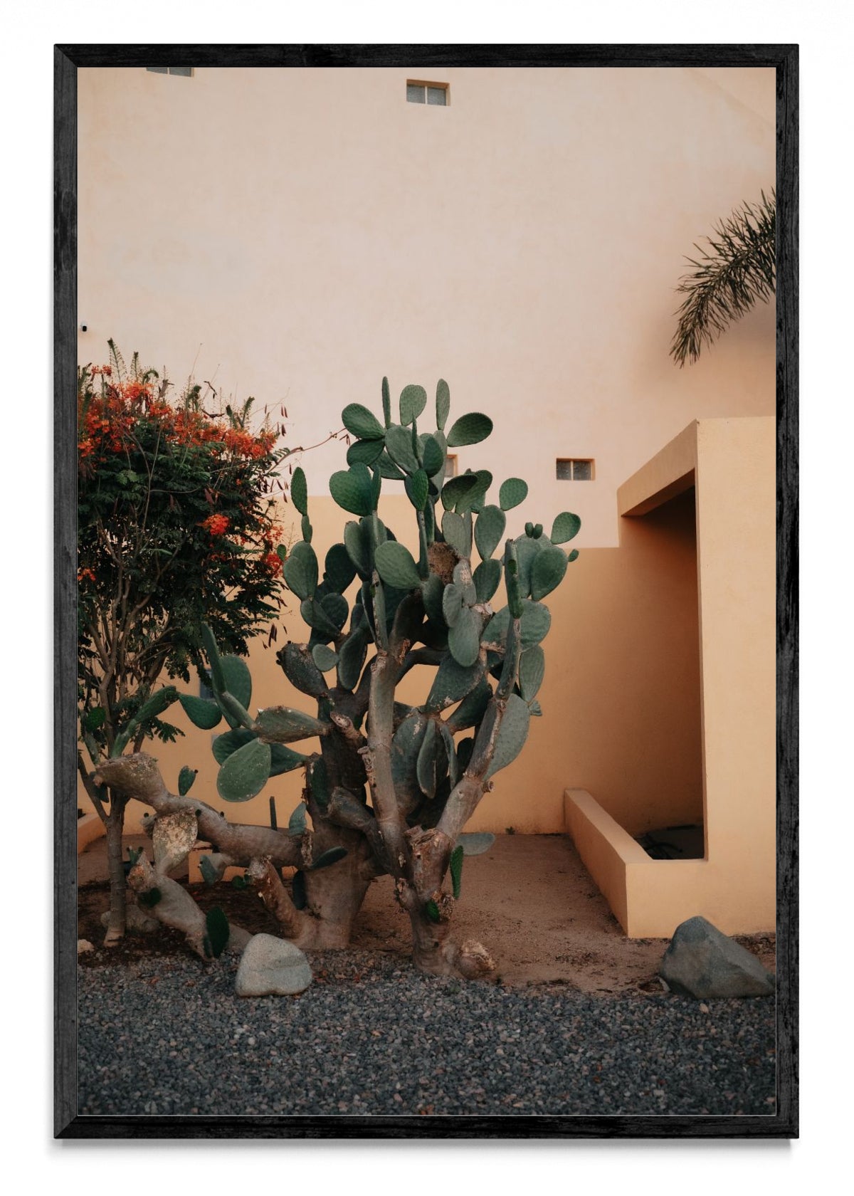 Cerritos, Baja California Sur, México - FotoV N
