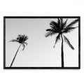 Sayulita Palms. Nayarit, México. - FotoH N