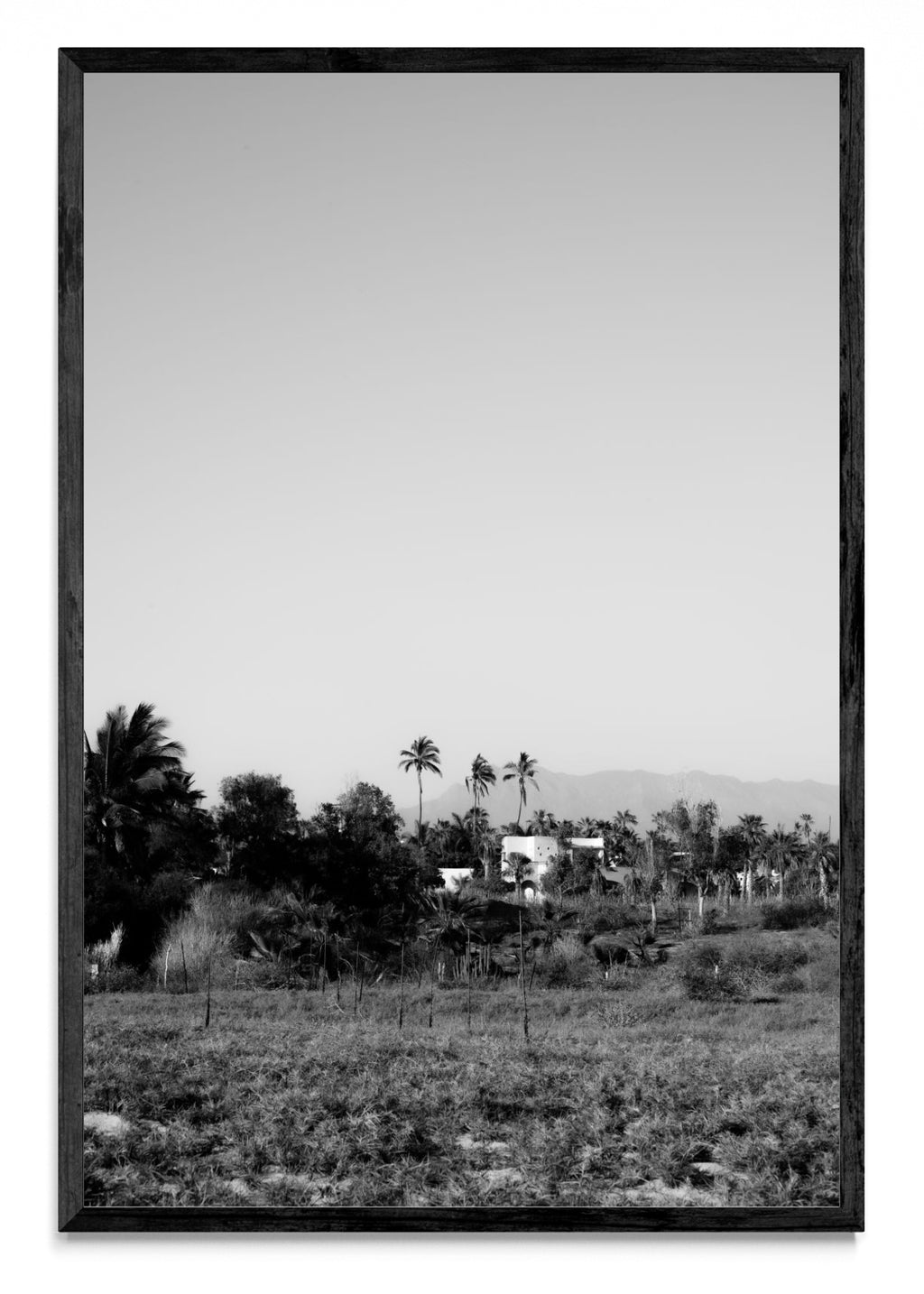 Todos Santos, Baja California Sur, México. - FotoV N