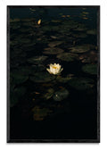 The White Lotus. Poderosa metamorfosis. - FotoV N