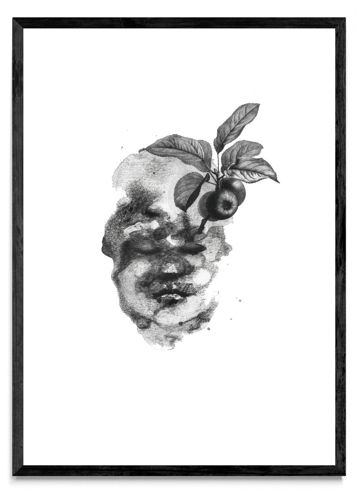 Fruto - Retrato N