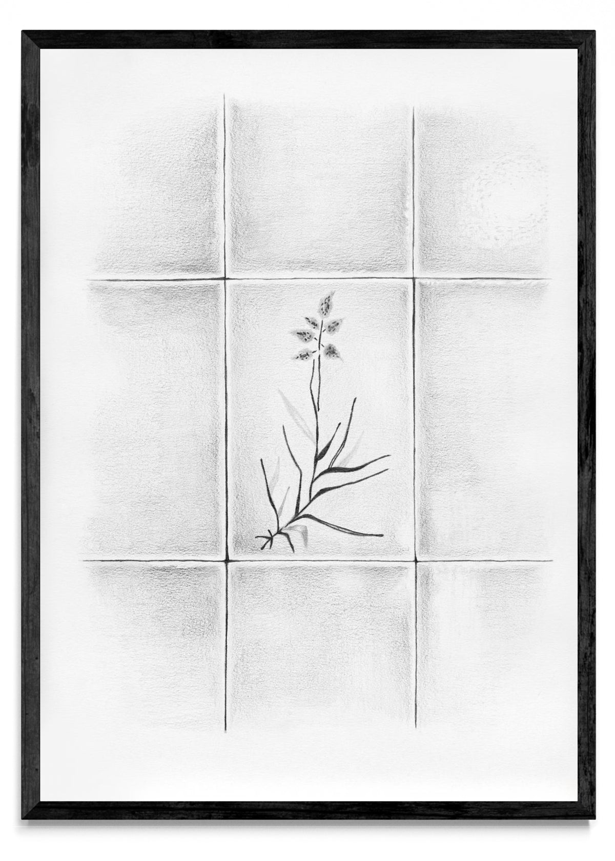 Azulejo - Retrato N