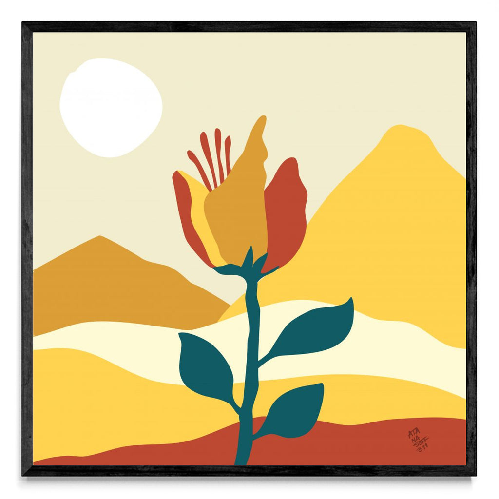 Flor en el valle - Cuadrado N