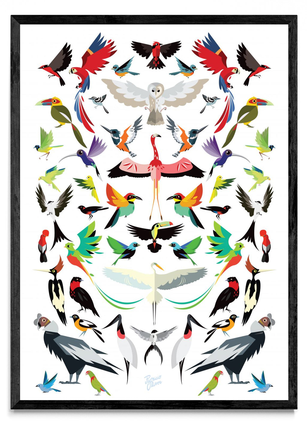 Aves de latino América - Retrato N