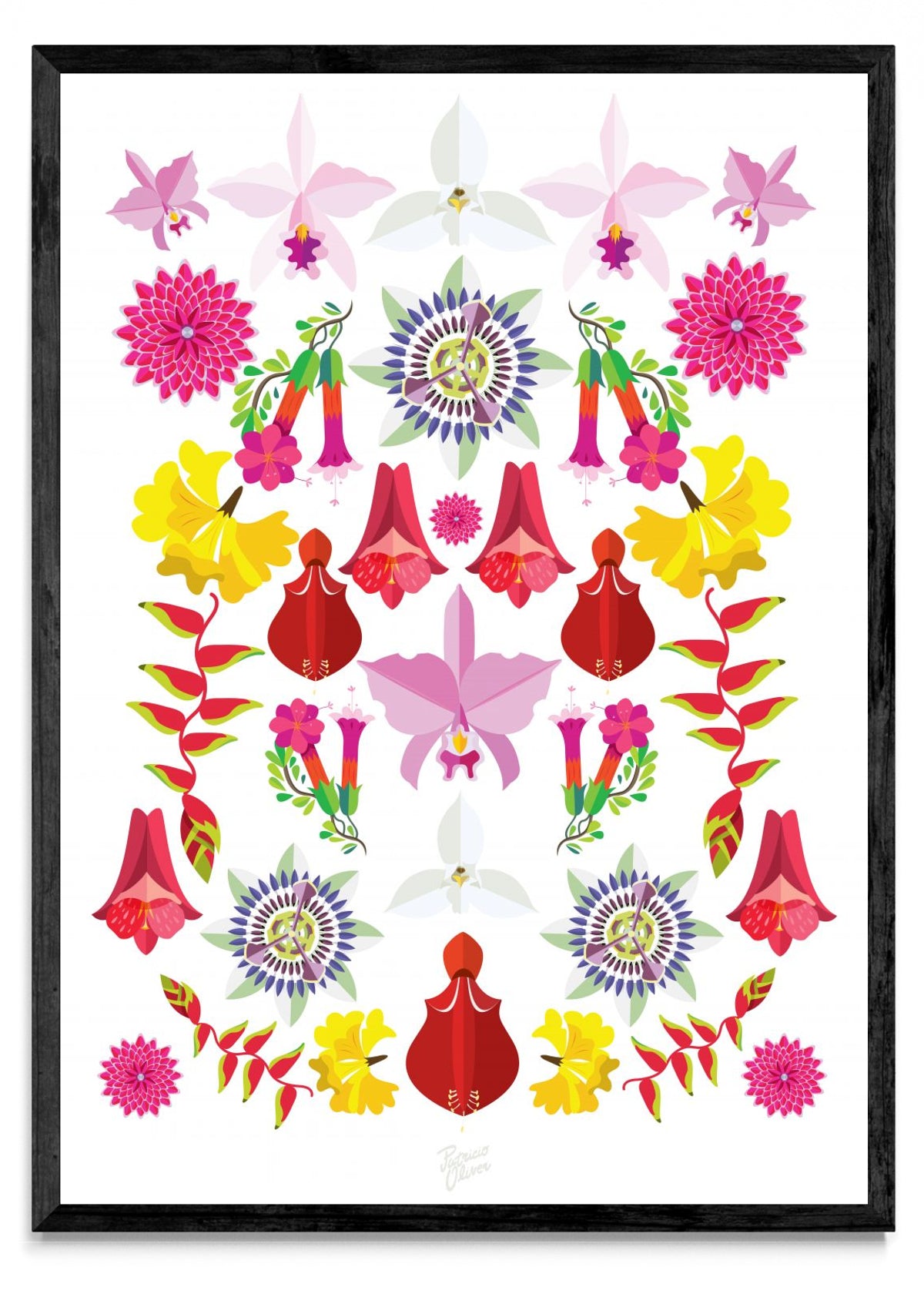 Flores Nacionales - Retrato N
