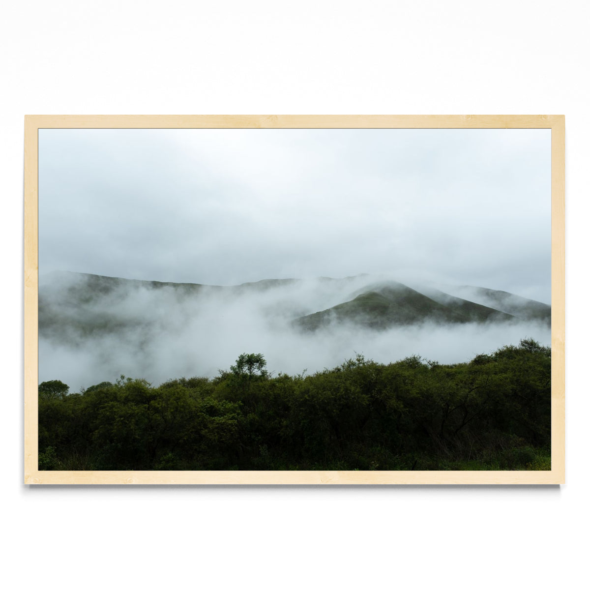 Nubes entre árboles - FotoH MC