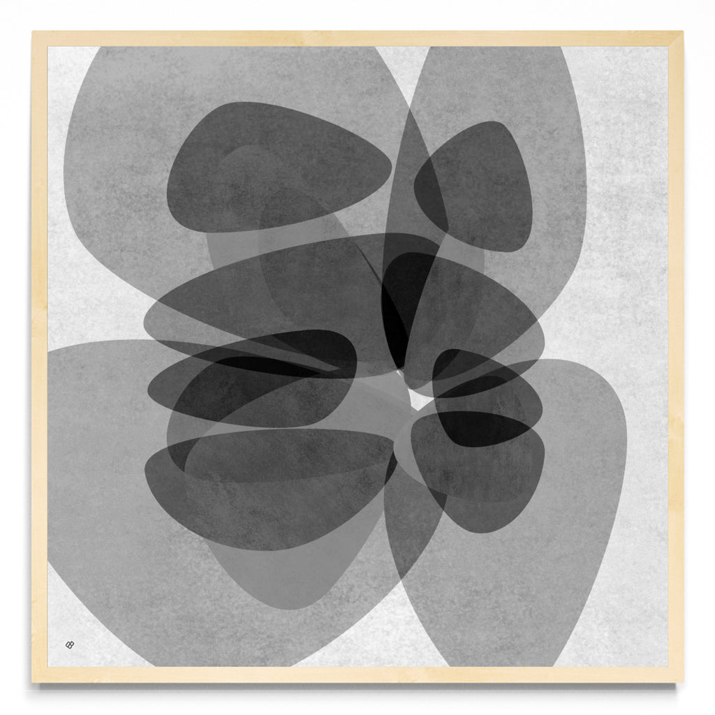 Diaphanous QKW 4 - Cuadrado MC